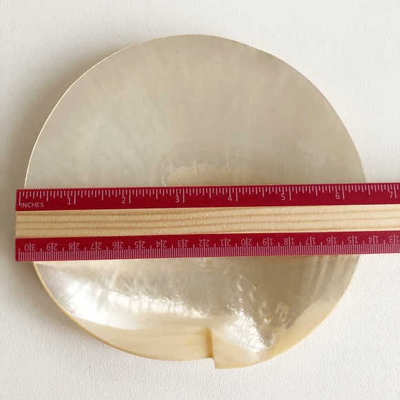 2 Natural Abalone Mother of Pearl Plates Palette M - Picture 7 of 8